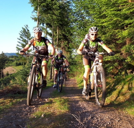 d2110399-c6be-40f3-a39d-02c50de70f19